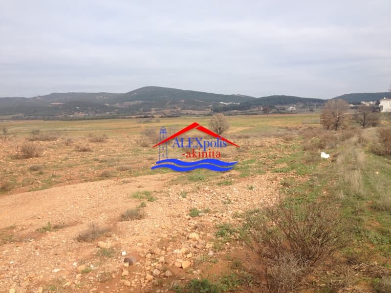 Αγροτεμάχιο στην Παλαγία, Αλεξανδρούπολη — Φωτογραφία 20 από 21