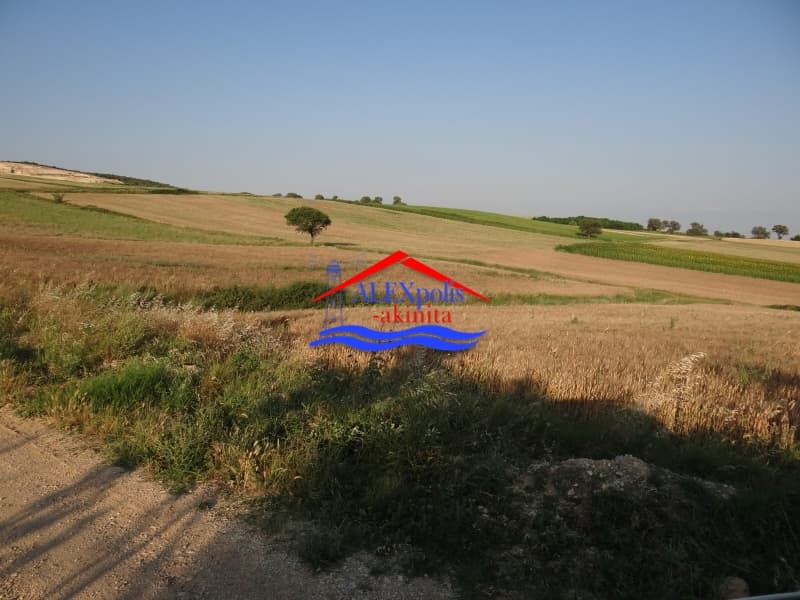 Αγροτεμάχιο στην Άβαντας, Αλεξανδρούπολη — Φωτογραφία 20 από 31