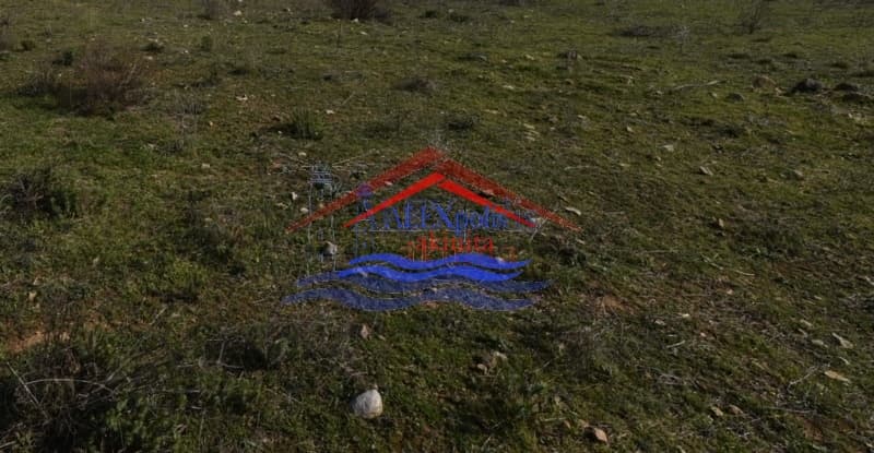 Αγροτεμάχιο στην Νέα Χιλή, Αλεξανδρούπολη — Φωτογραφία 1 από 2