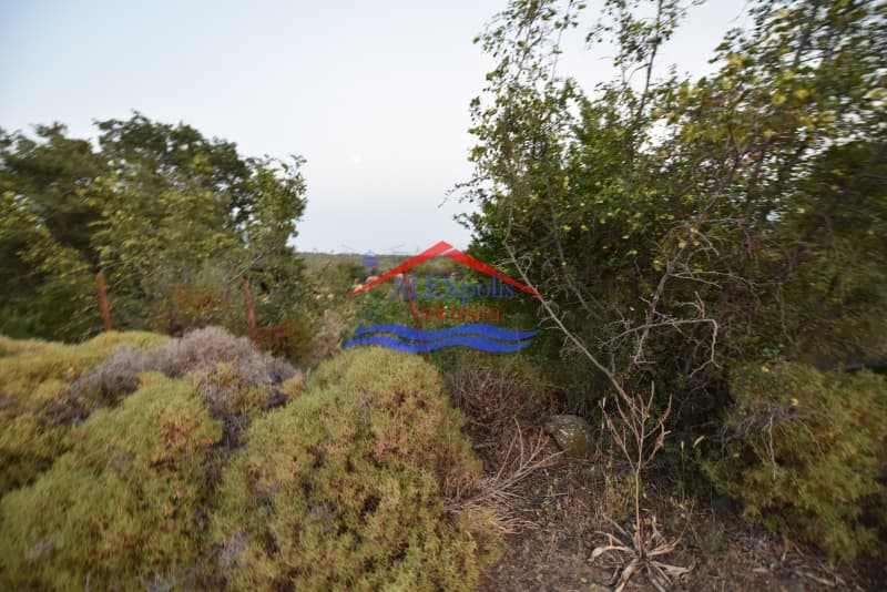 Parcel in Makrilies, Samothraki — Photo 4 of 8