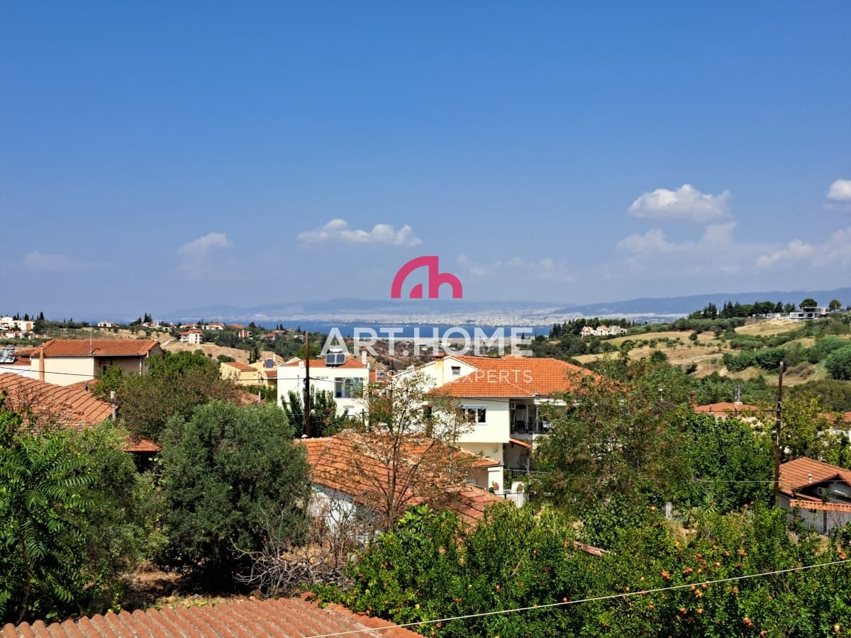 House in Trilofo, Mikra — Photo 22 of 25