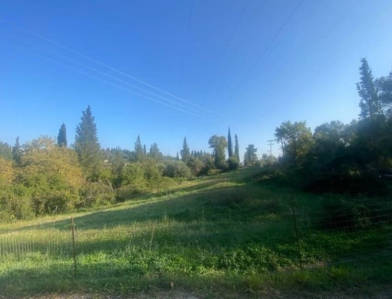 Parcel in Pareli, Corfu — Photo 2 of 8