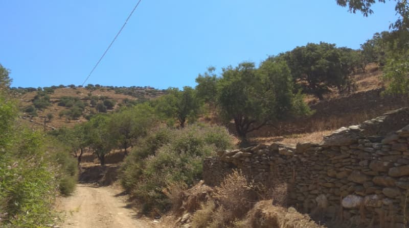 Αγροτεμάχιο στην Καμπί, Κέα — Φωτογραφία 1 από 5
