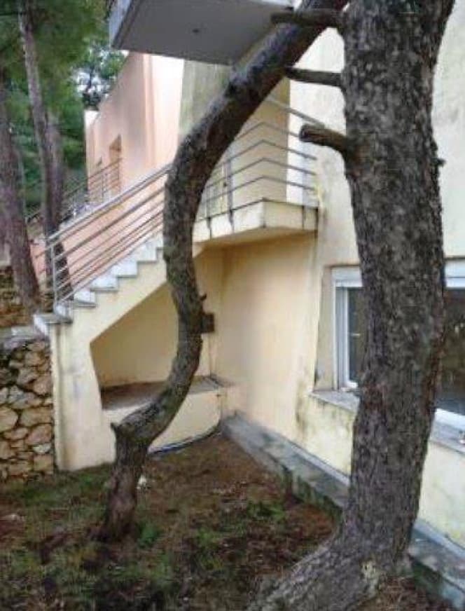 Μονοκατοικία στην Αμυγδαλέζα, Σταμάτα — Φωτογραφία 11 από 14