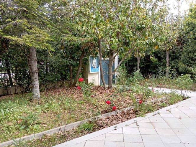 House in Krioneri, Krioneri — Photo 7 of 20
