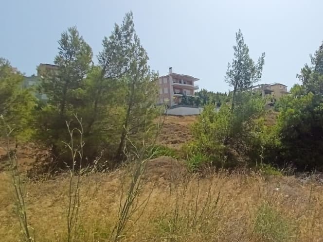 Οικόπεδο στην Δασαμάρι, Πικέρμι — Φωτογραφία 1 από 5