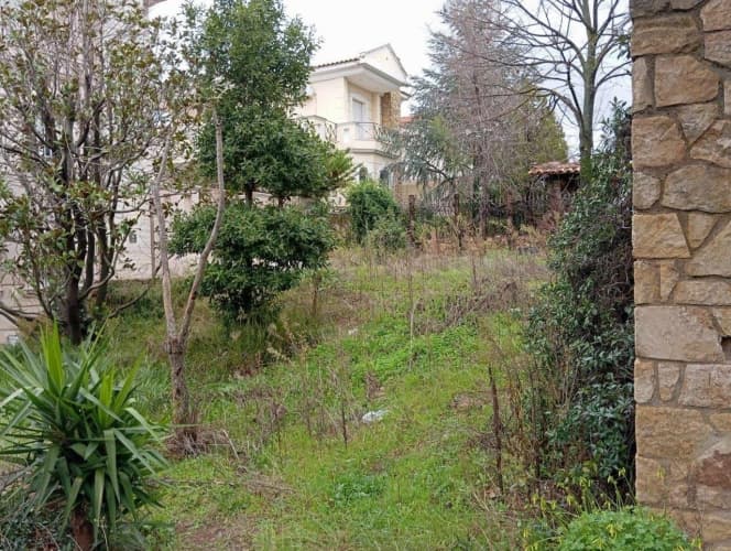 House in Anoixi, Anoixi — Photo 4 of 4