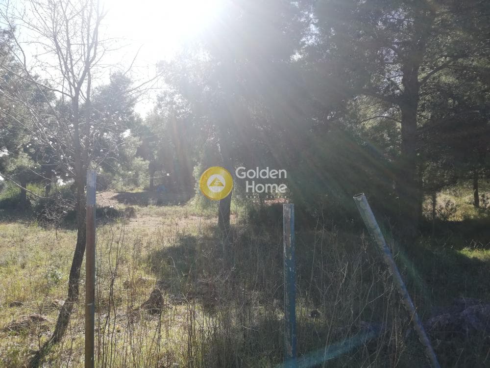 Building Plot in Center, Gerakas — Photo 1 of 4