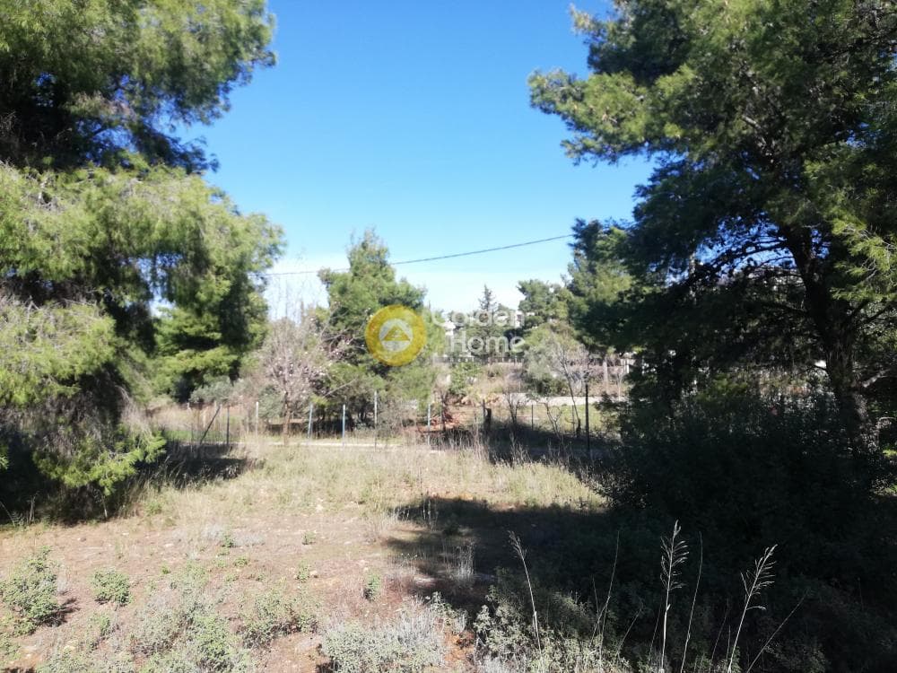 Building Plot in Center, Gerakas — Photo 3 of 4
