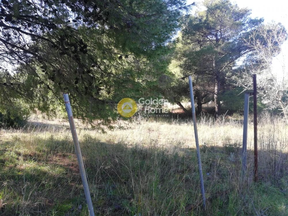 Building Plot in Center, Gerakas — Photo 4 of 4