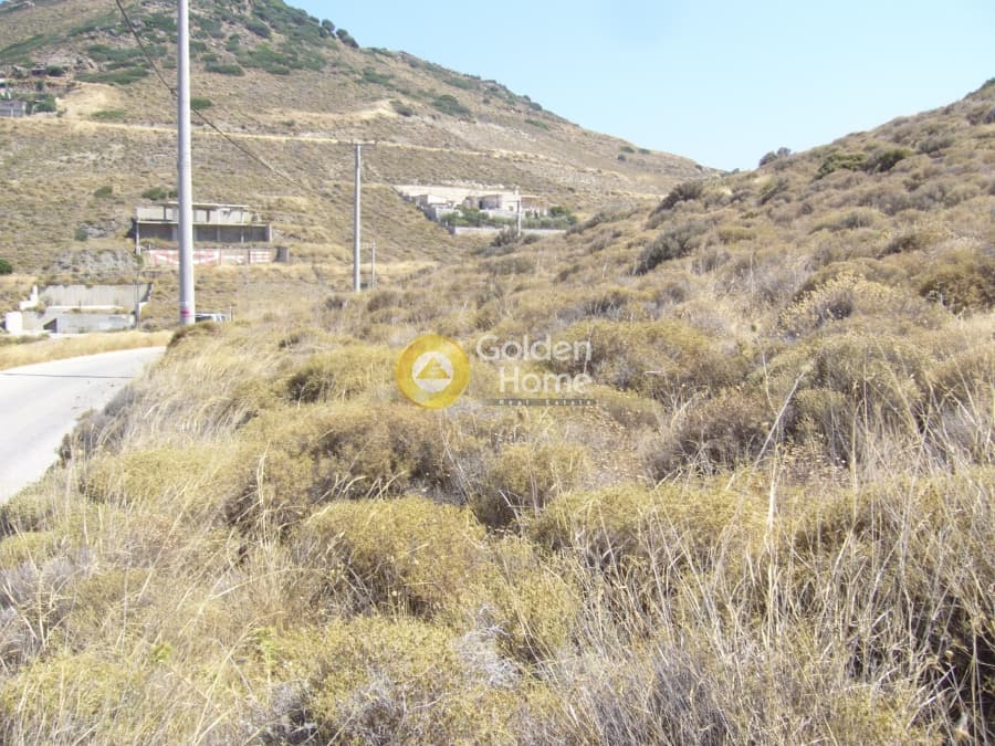 Parcel in Pefka, Keratea — Photo 14 of 15