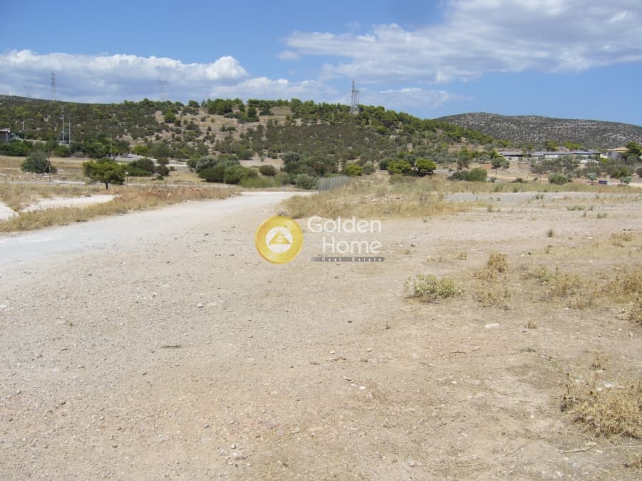 Parcel in Lamprika, Koropi — Photo 1 of 9