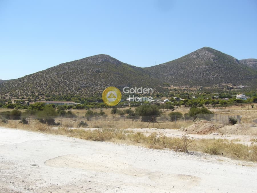 Parcel in Lamprika, Koropi — Photo 2 of 9