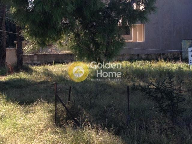 Building Plot in Adames Oikismos Grammos - Foinikas, Kifisia — Photo 6 of 10