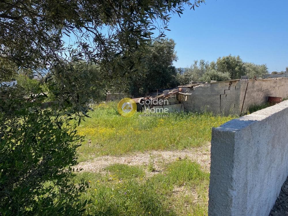 Building Plot in Elaionas, Anavissos — Photo 2 of 8