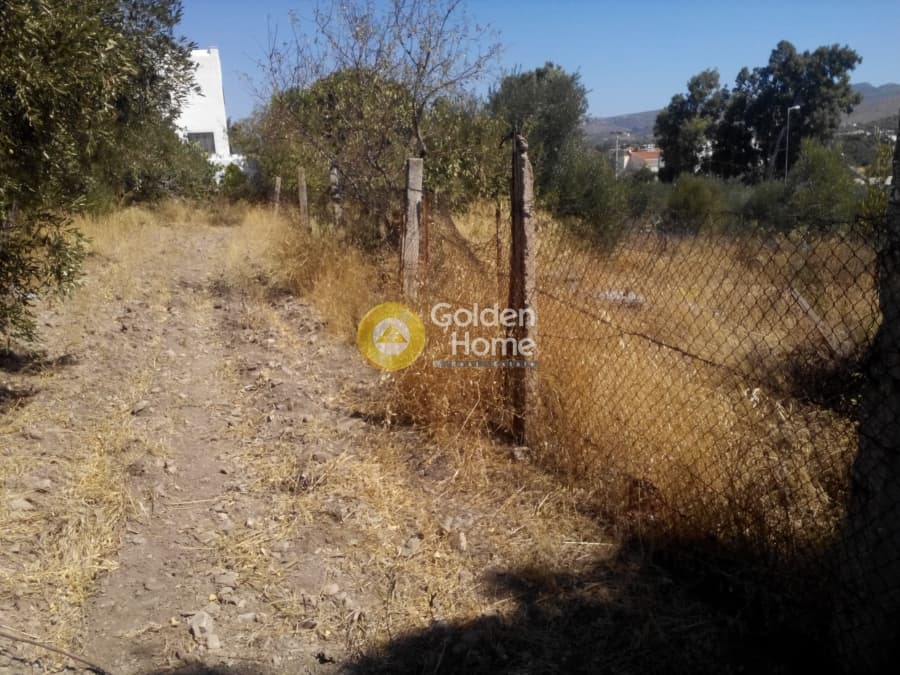 Building Plot in Elaionas, Anavissos — Photo 4 of 8