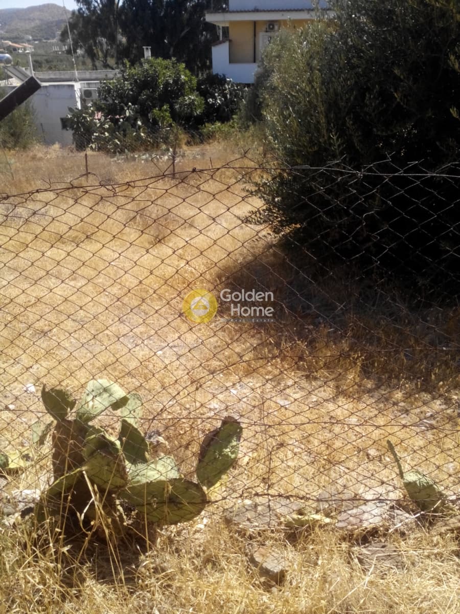 Building Plot in Elaionas, Anavissos — Photo 5 of 8