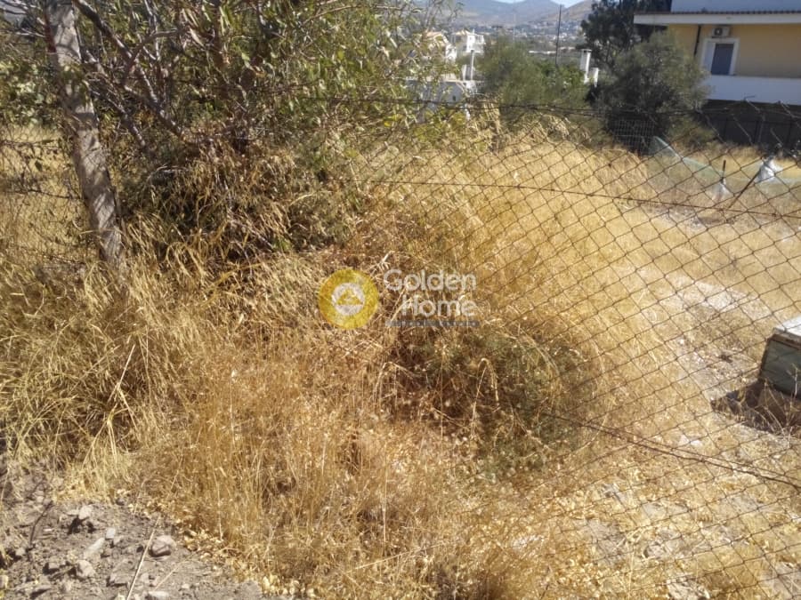 Building Plot in Elaionas, Anavissos — Photo 7 of 8