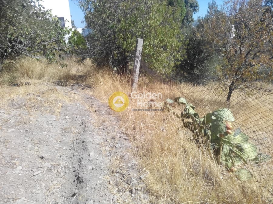 Building Plot in Elaionas, Anavissos — Photo 6 of 8