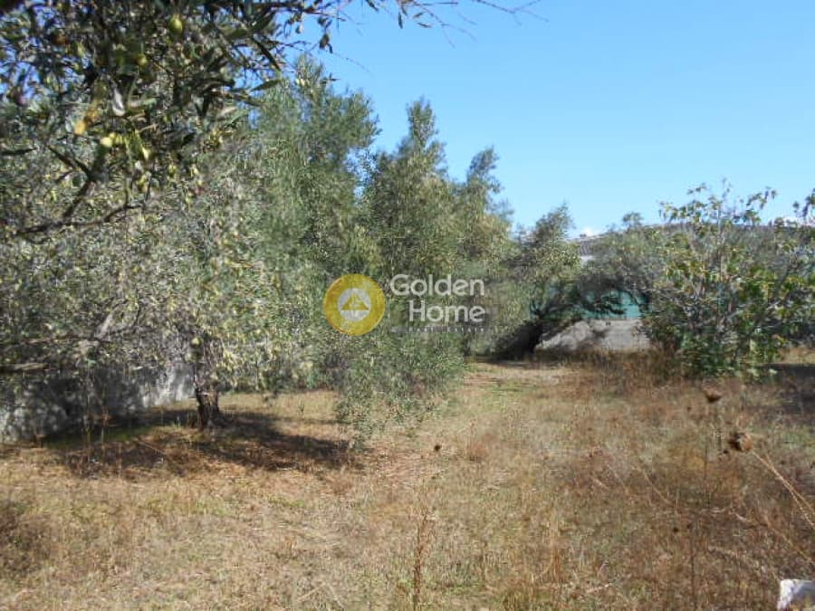 Αγροτεμάχιο στην Αγία Μαρίνα, Παιανία — Φωτογραφία 2 από 6