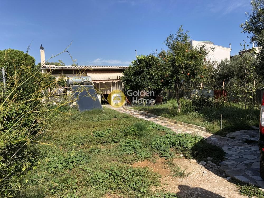 Building Plot in Adames Oikismos Grammos - Foinikas, Kifisia — Photo 8 of 13