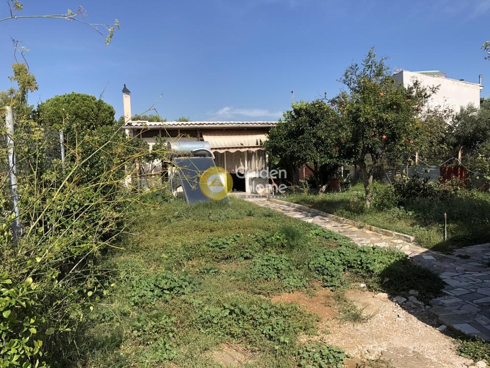 Building Plot in Adames Oikismos Grammos - Foinikas, Kifisia — Photo 7 of 13