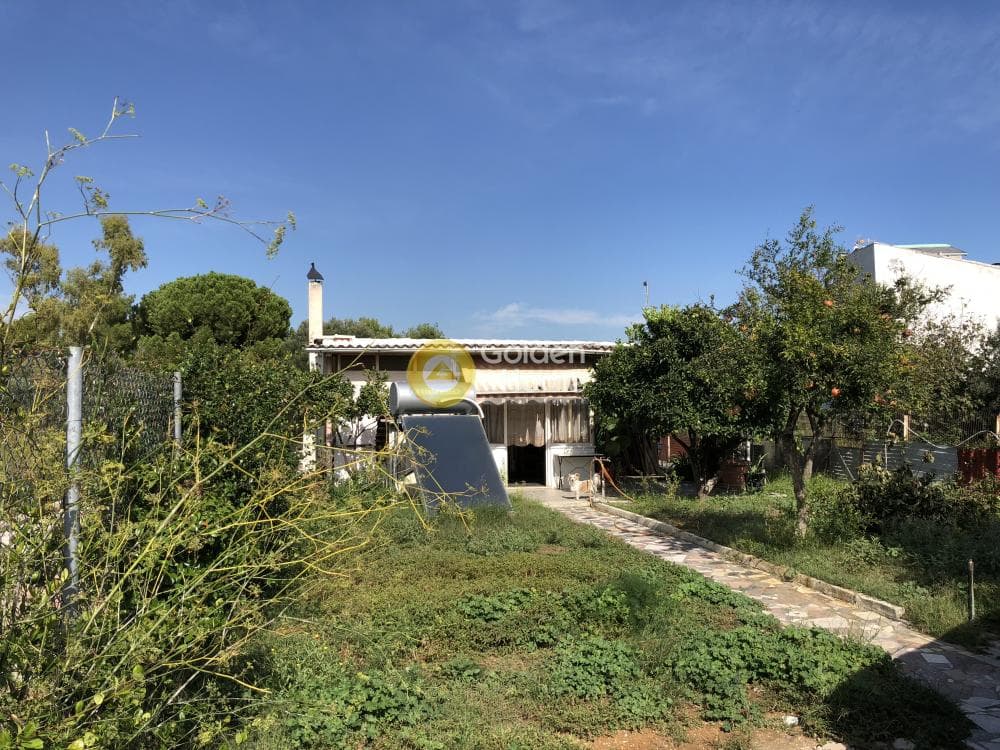 Building Plot in Adames Oikismos Grammos - Foinikas, Kifisia — Photo 10 of 13