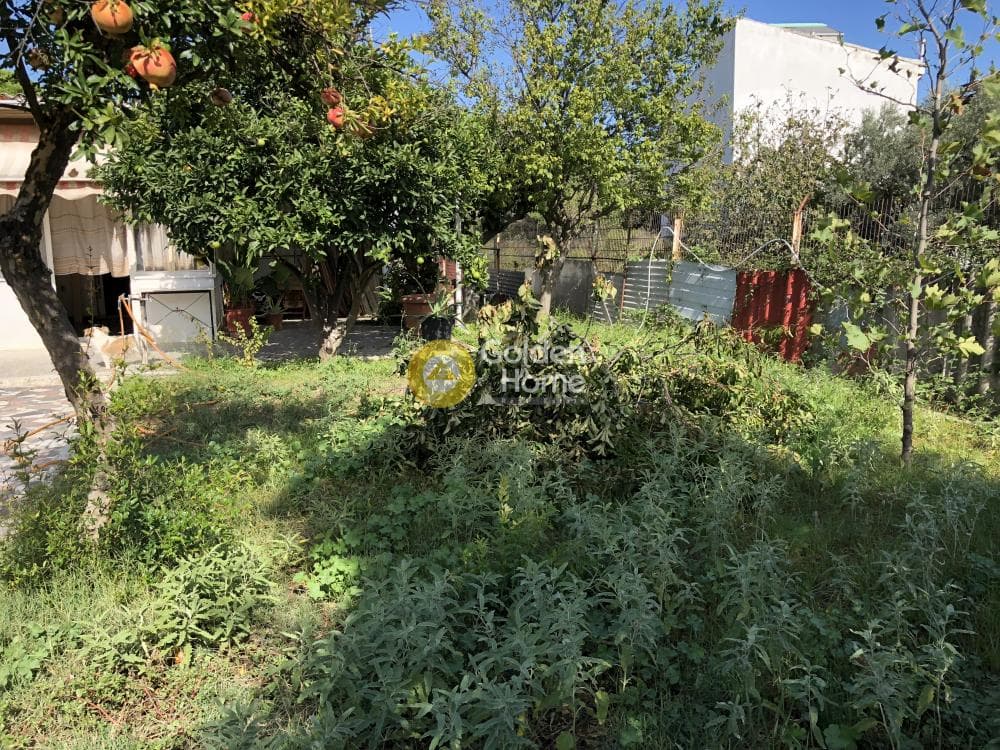 Building Plot in Adames Oikismos Grammos - Foinikas, Kifisia — Photo 11 of 13