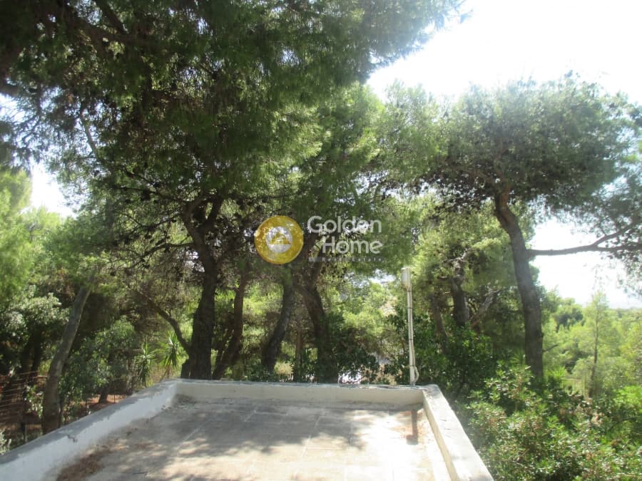 Μονοκατοικία στην Μεγάλα Σχοινία Α, Αχαρνές — Φωτογραφία 32 από 41