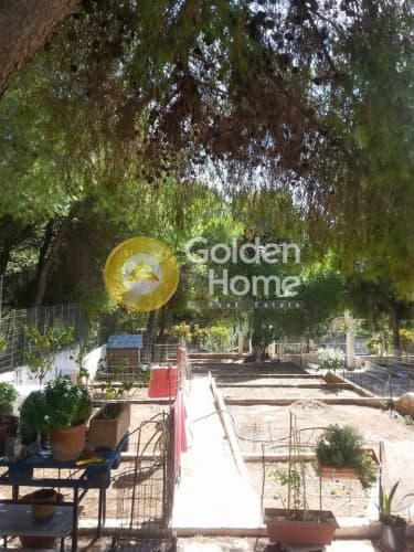 Building Plot in Ikismos Aiolos, Rafina — Photo 1 of 13