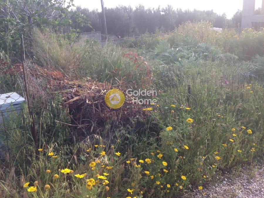 Building Plot in Kalivia, Kalivia Thorikou — Photo 2 of 3