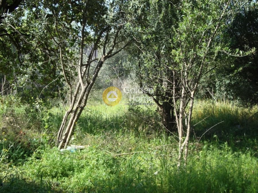Οικόπεδο στην Άνω Μπαλάνα, Παλλήνη — Φωτογραφία 2 από 3
