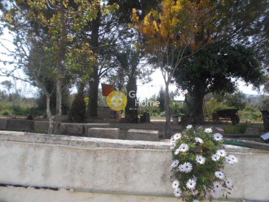 House in Agia Marina, Paiania — Photo 6 of 13
