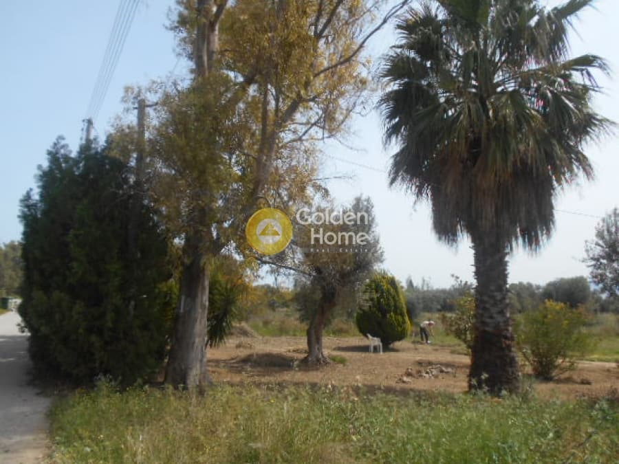 House in Agia Marina, Paiania — Photo 13 of 13