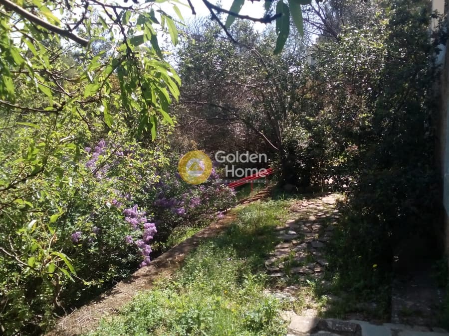 Οικόπεδο στην Δροσιά, Δροσιά — Φωτογραφία 4 από 8