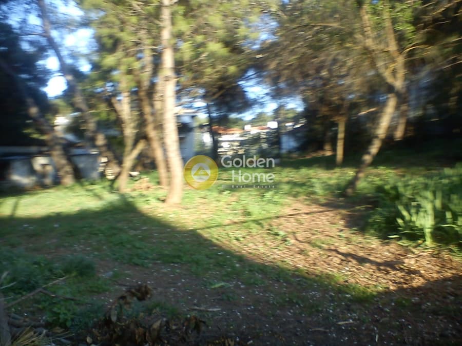 Building Plot in Adames Oikismos Peloponnision, Kifisia — Photo 2 of 3