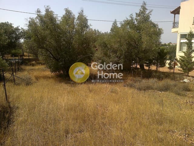 Building Plot in Kalivia, Kalivia Thorikou — Photo 2 of 5