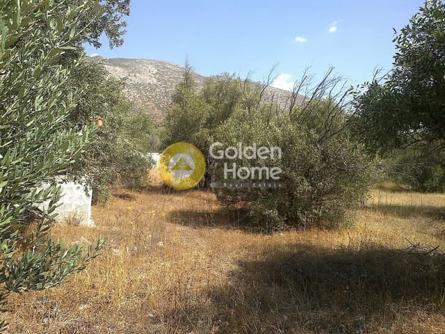 Building Plot in Kalivia, Kalivia Thorikou — Photo 3 of 5