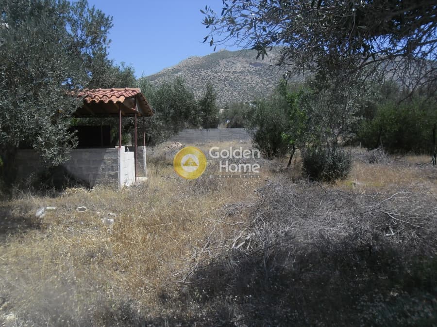 Building Plot in Kalivia, Kalivia Thorikou — Photo 1 of 5