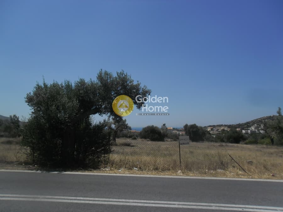 Building Plot in Kalivia, Kalivia Thorikou — Photo 5 of 5
