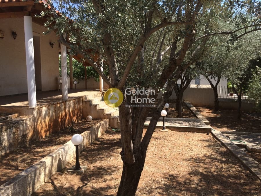 House in Aixoni, Glyfada — Photo 4 of 6