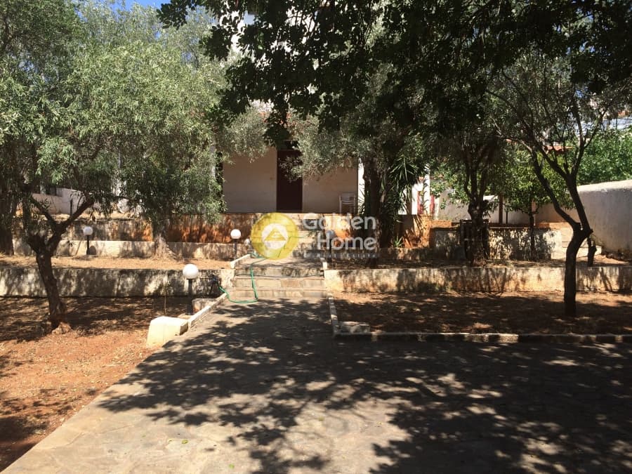 House in Aixoni, Glyfada — Photo 5 of 6