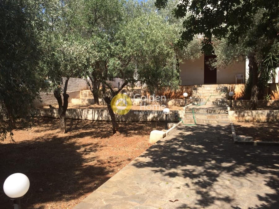 House in Aixoni, Glyfada — Photo 6 of 6