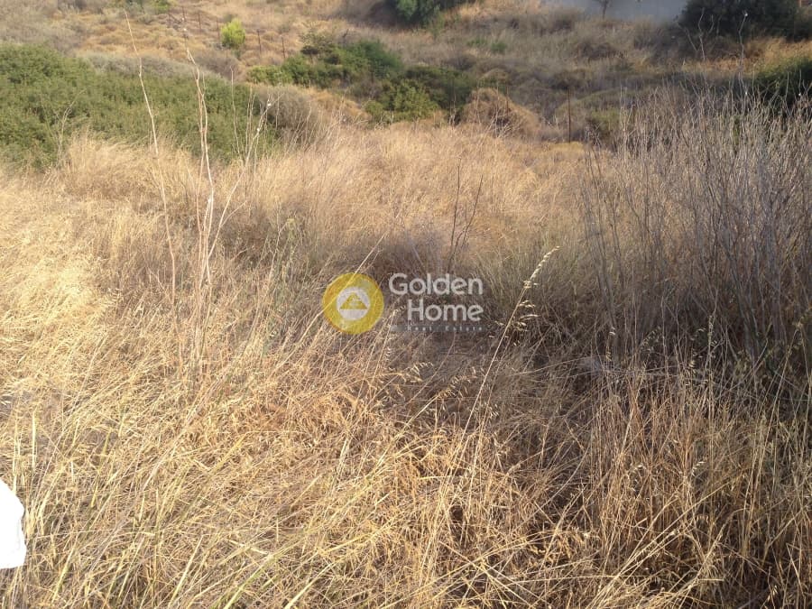 Parcel in Kalivia, Kalivia Thorikou — Photo 4 of 5