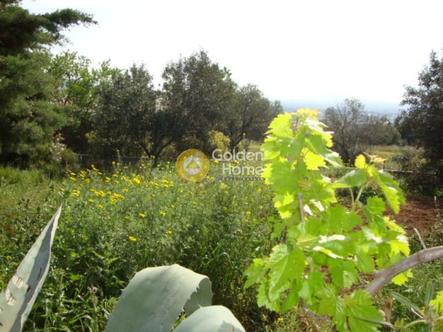 Αγροτεμάχιο στην Μουσείο Βορρέ, Παιανία — Φωτογραφία 1 από 10