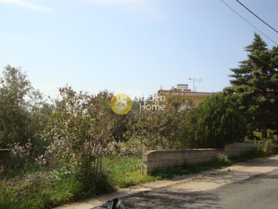 Αγροτεμάχιο στην Μουσείο Βορρέ, Παιανία — Φωτογραφία 2 από 10