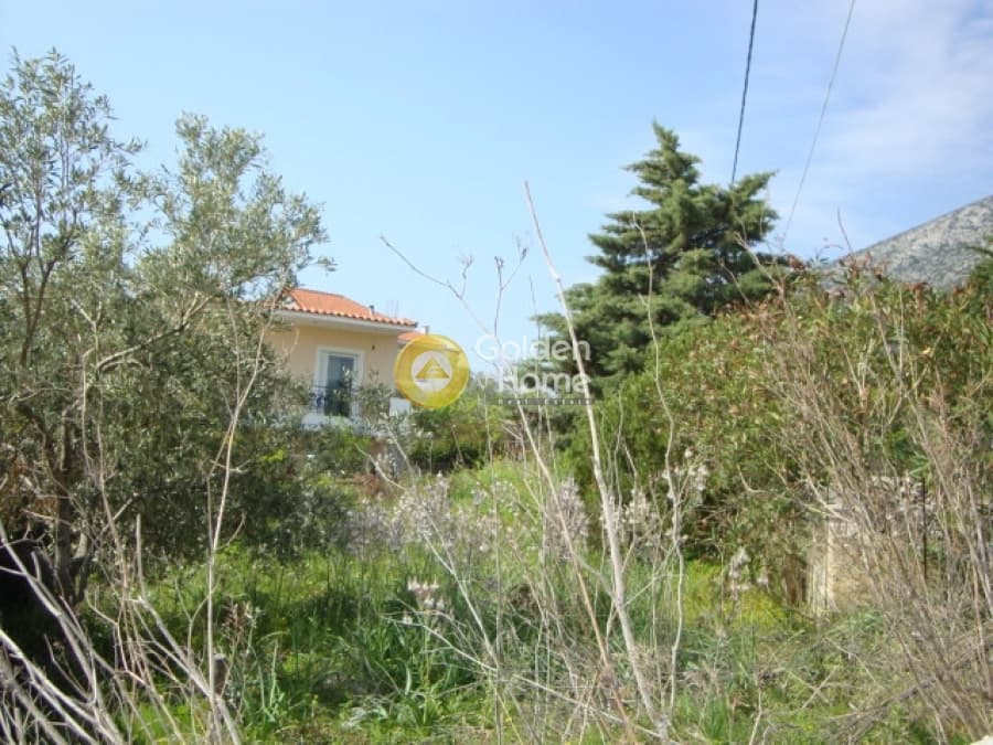 Αγροτεμάχιο στην Μουσείο Βορρέ, Παιανία — Φωτογραφία 5 από 10