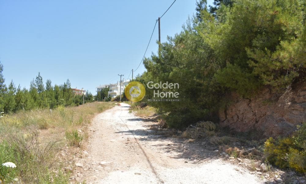 Building Plot in Dasamari, Pikermi — Photo 8 of 15