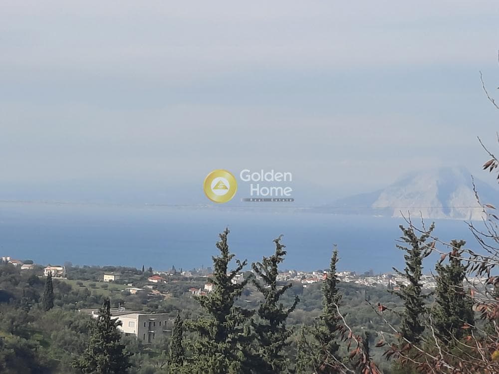 Μονοκατοικία στην Θέα, Μεσσατίδα — Φωτογραφία 20 από 53