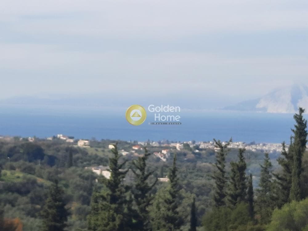 Μονοκατοικία στην Θέα, Μεσσατίδα — Φωτογραφία 29 από 53
